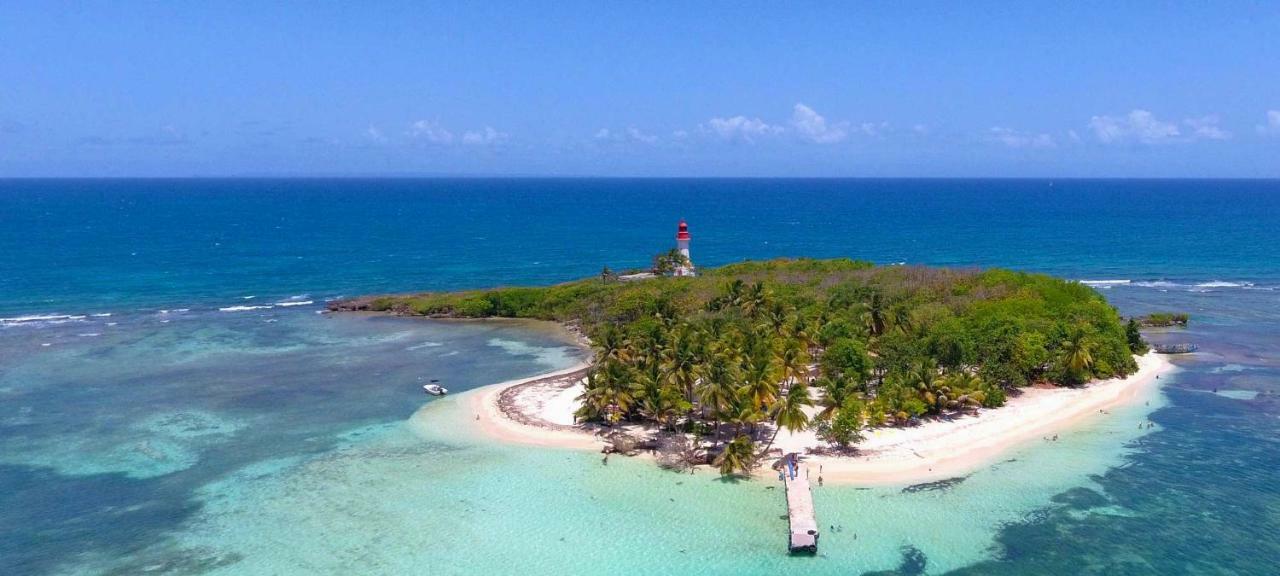 Tour Faidherbe 4 Résidence des îles Pointe-à-Pitre Extérieur photo